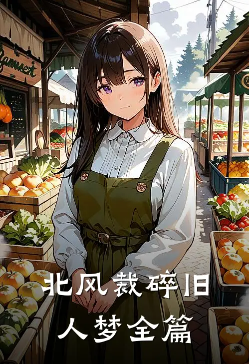 北风裁碎旧人梦全篇
