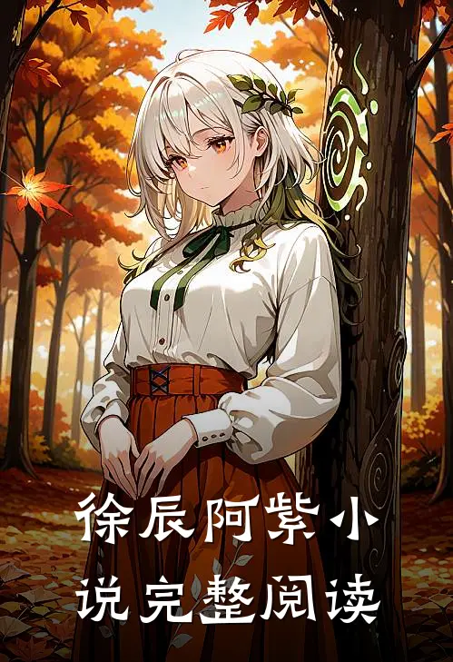 徐辰阿紫小说完整阅读