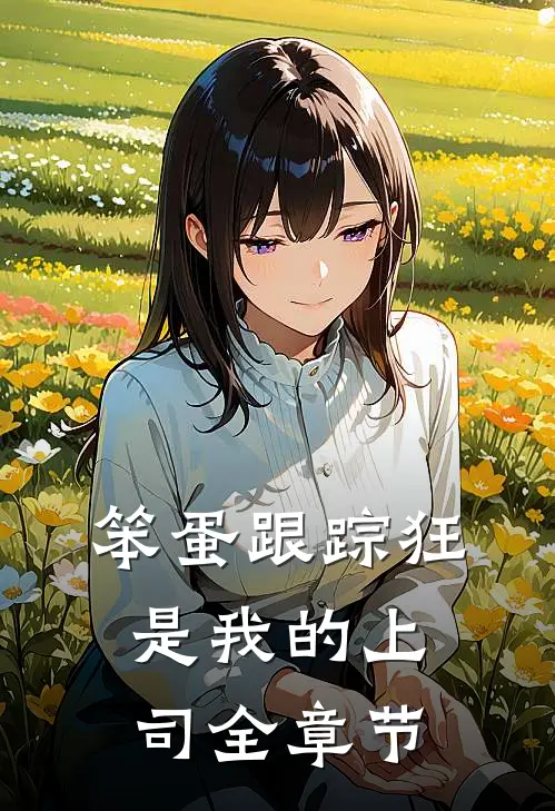 笨蛋跟踪狂是我的上司全章节