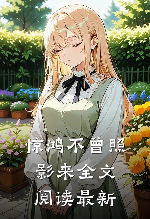 惊鸿不曾照影来全文阅读最新