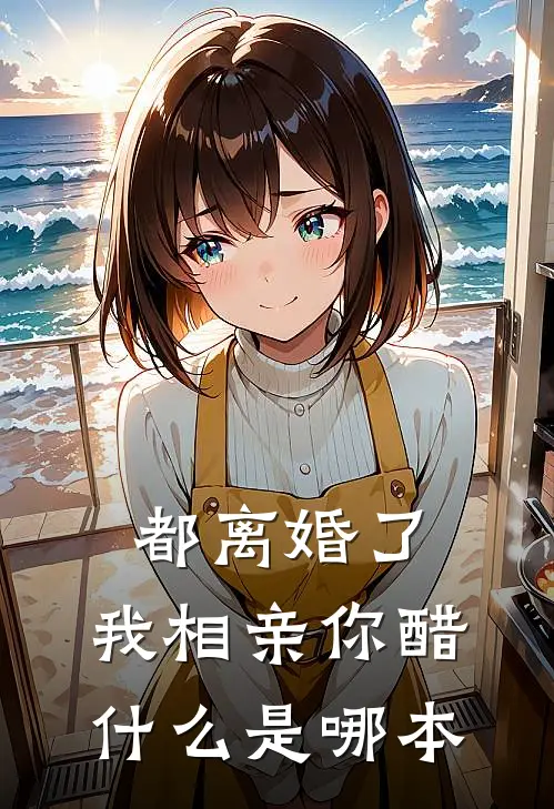 都离婚了，我相亲你醋什么是哪本