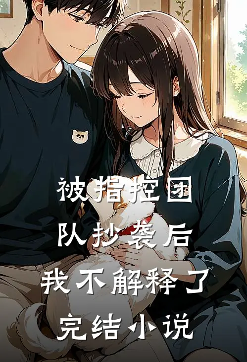 被指控团队抄袭后，我不解释了完结小说