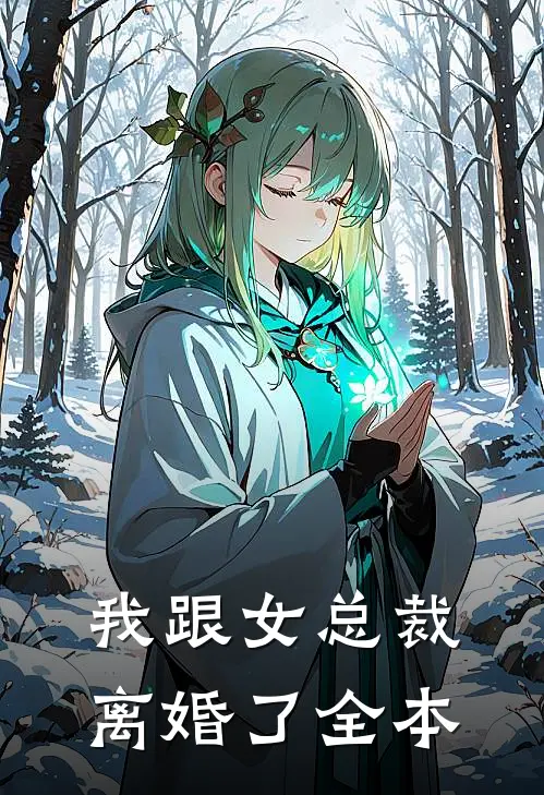 我跟女总裁离婚了全本