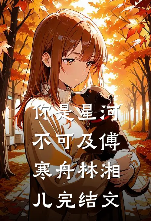 你是星河不可及傅寒舟林湘儿完结文
