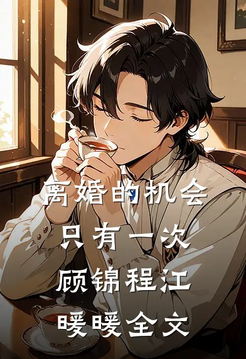 离婚的机会只有一次顾锦程江暖暖全文