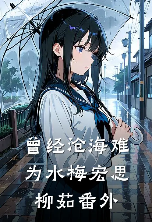 曾经沧海难为水梅宏思柳茹番外