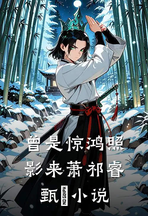 曾是惊鸿照影来萧祁睿甄嬛小说