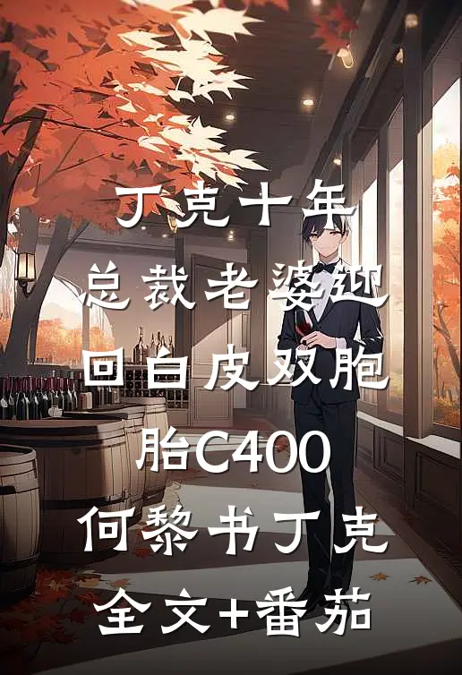 丁克十年，总裁老婆迎回白皮双胞胎C400何黎书丁克全文+番茄
