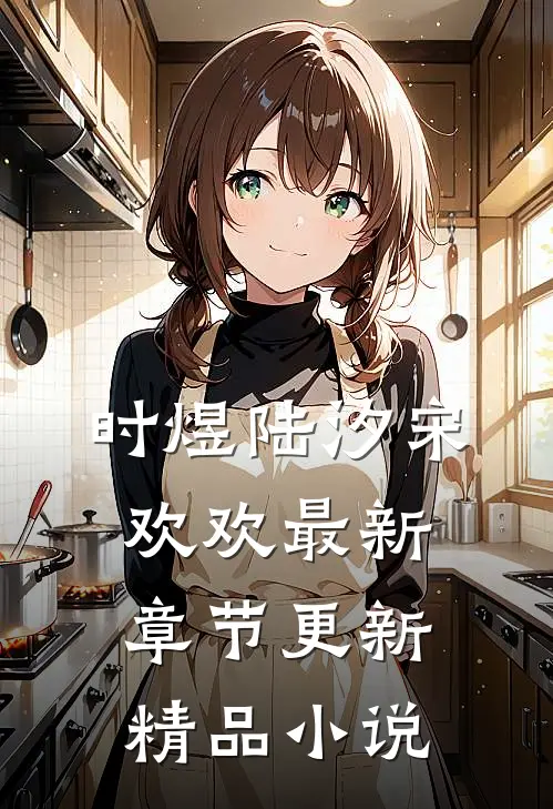 时煜陆汐宋欢欢最新章节更新精品小说