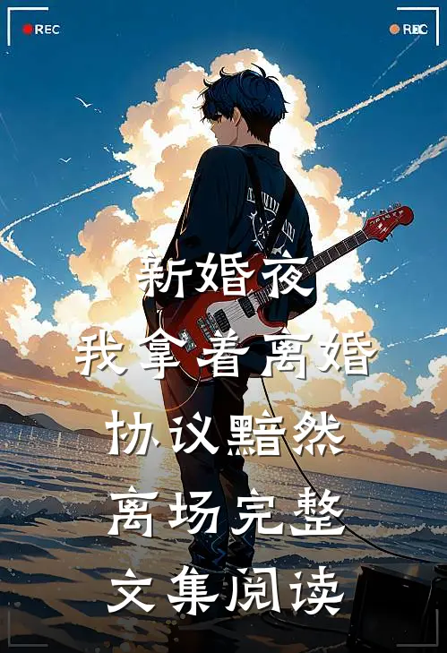 新婚夜，我拿着离婚协议黯然离场完整文集阅读