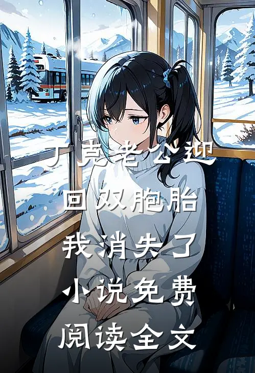 丁克老公迎回双胞胎，我消失了小说免费阅读全文