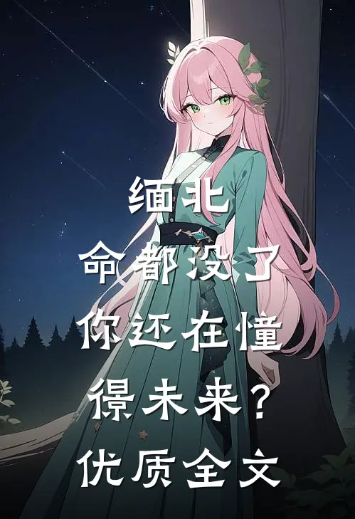 缅北：命都没了，你还在憧憬未来？优质全文