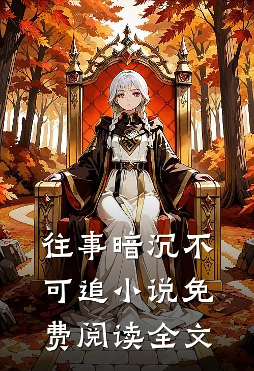 往事暗沉不可追小说免费阅读全文