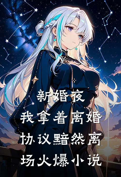 新婚夜，我拿着离婚协议黯然离场火爆小说