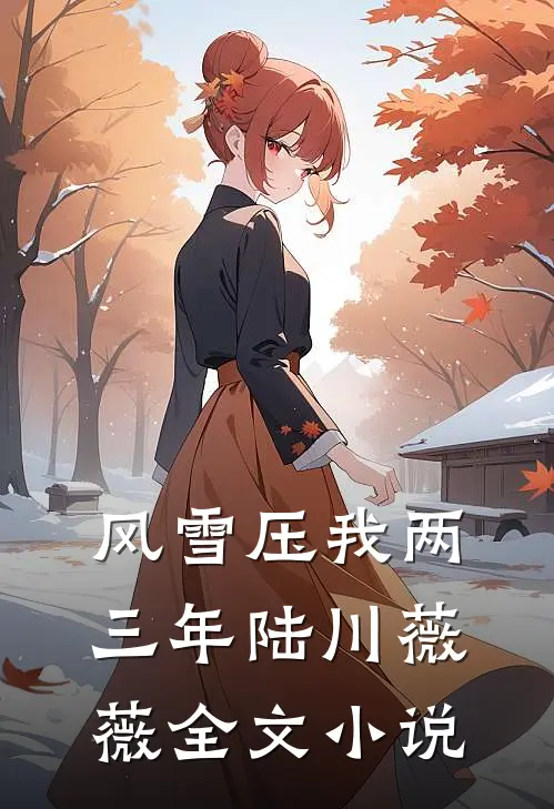 风雪压我两三年陆川薇薇全文小说