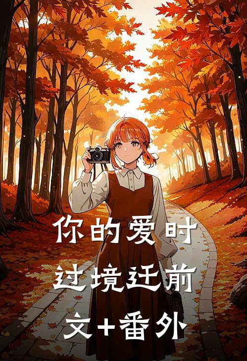 你的爱时过境迁前文+番外