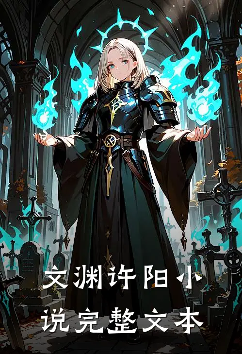 文渊许阳完整文本阅读