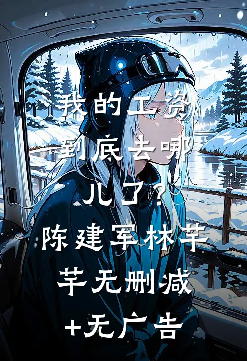 我的工资到底去哪儿了？陈建军林芊芊无删减+无广告