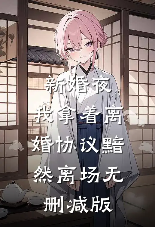 新婚夜，我拿着离婚协议黯然离场无删减版