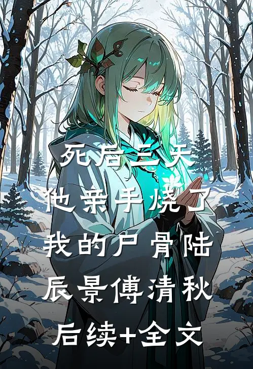 死后三天，他亲手烧了我的尸骨陆辰景傅清秋后续+全文
