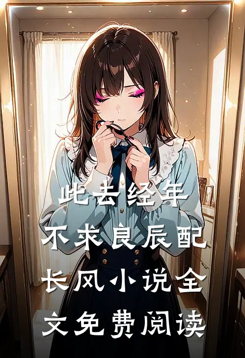此去经年：不求良辰配长风小说全文免费阅读