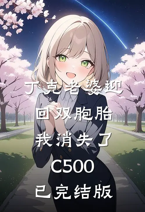 丁克老婆迎回双胞胎，我消失了C500已完结版