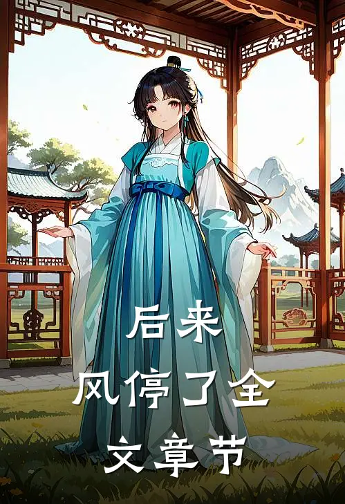 后来，风停了全文章节