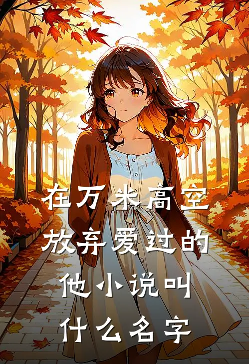 在万米高空放弃爱过的他小说叫什么名字