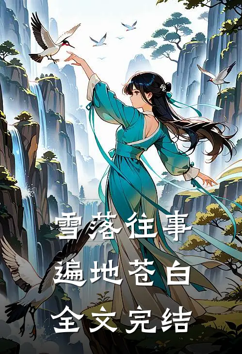 雪落往事，遍地苍白全文完结