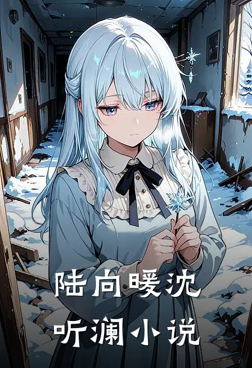 陆向暖沈听澜小说