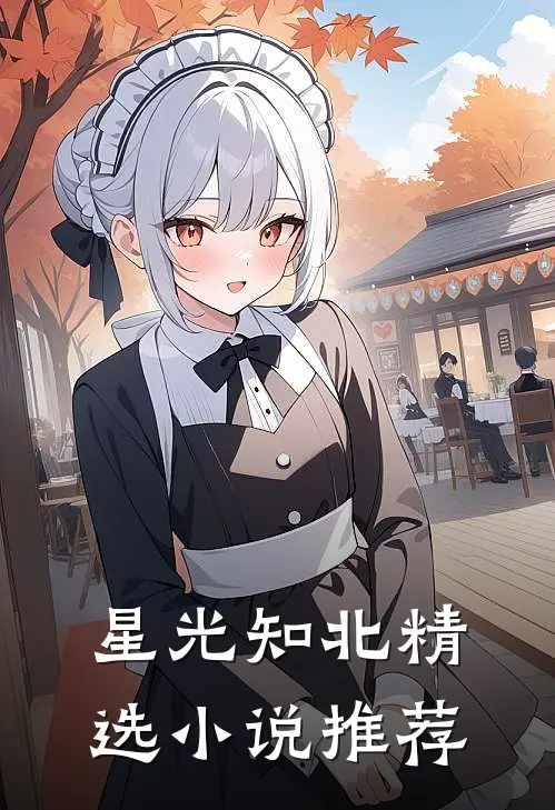 星光知北精选小说推荐